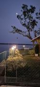 Top Alleppey
