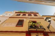 Top Seville