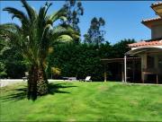 Top Laredo