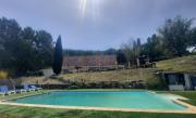Top Dauphin