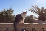 Top Sausset-les-Pins