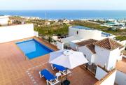Top Torrox