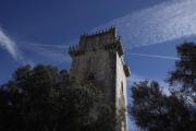 Top Beja