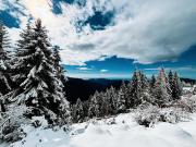 Top La Bollène-Vésubie