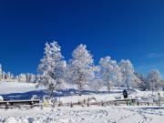 Top Schluchsee