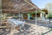 Top Catllar