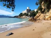 Top Lerici