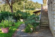 Top Campo nellElba