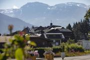 Top Morillon