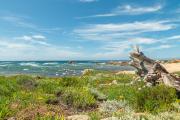 Top Vignola Mare