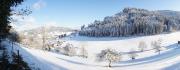 Top Haslach im Kinzigtal