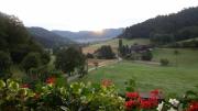 Top Seelbach