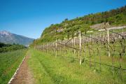 Top Civezzano