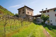 Top Civezzano