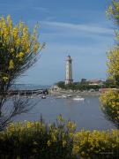 Top Saint-Georges-de-Didonne