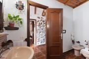 Top Icod de los Vinos