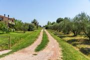 Top Grosseto