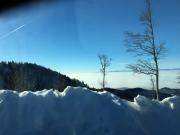 Top Waldkirch