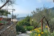 Top Recco