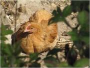 Top Marais-Vernier Top Marais-Vernier