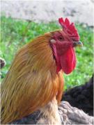 Top Marais-Vernier Top Marais-Vernier