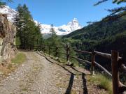 Top Valtournenche