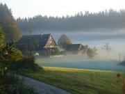 Top Schramberg