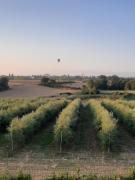 Top Cortona