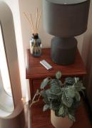 Top Pinos Genil