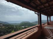 Top Centola