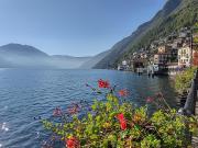 Top Argegno