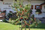 Landhaus Reiser