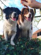 Top Plouër-sur-Rance