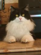 Top Plouër-sur-Rance