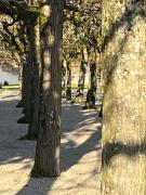 Top Weilburg