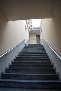 Top Savona