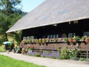 Top St. Blasien