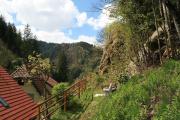 Top Triberg