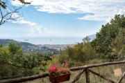 Top Salerno
