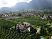 Top Appiano sulla Strada del Vino