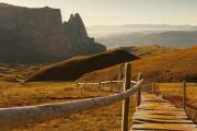 Top Siusi