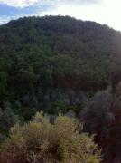 Top Stellanello