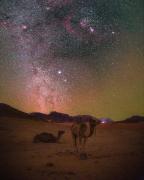 Rock Merzouga Luxury Desert Camp