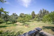 Top Taglio-Isolaccio