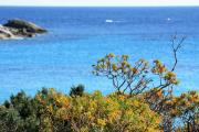 Top Villasimius