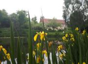 Top Saint-Jacques-dʼAmbur