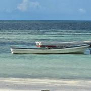 Serene Beachfront Bungalow Escape in Uroa, Zanzibar