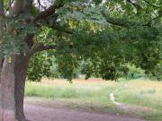 Gästeappartements Südstadt Bult