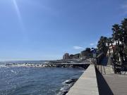 Top Imperia