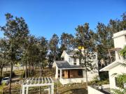 Top Yelagiri